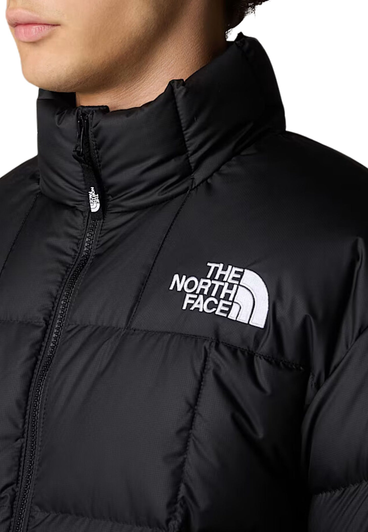 THE NORTH FACE NF0A3Y234H01NF4H0NF4H0