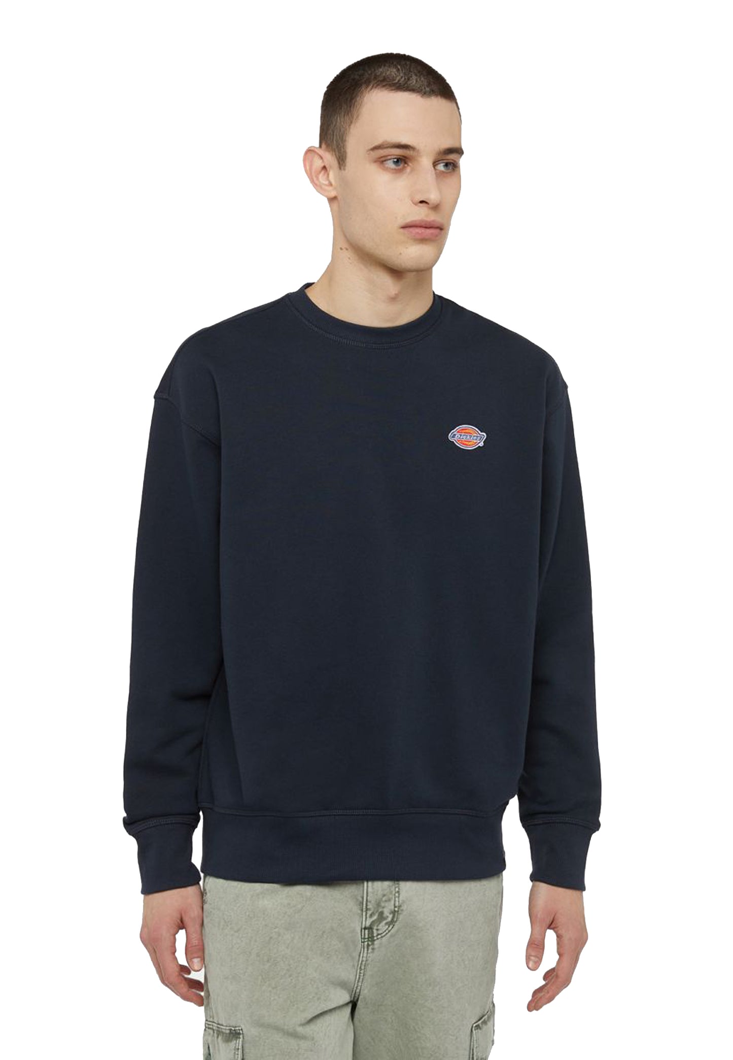 DICKIES DK0A4YLZDNX1DNX1